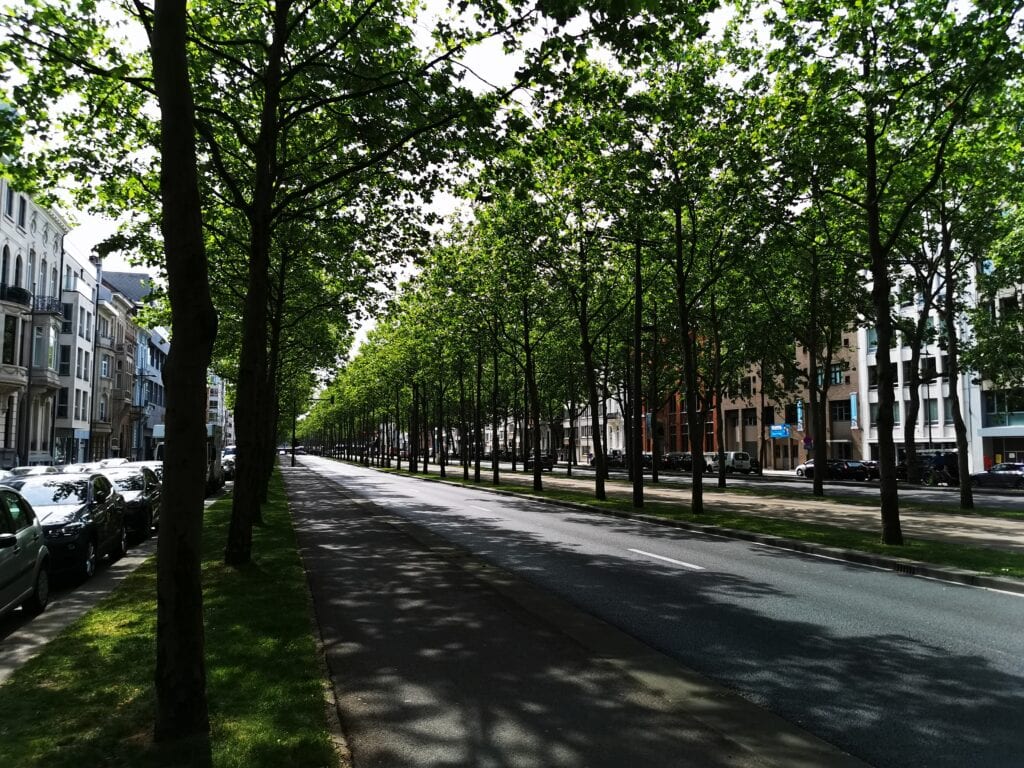 Amerikalei-Antwerpen